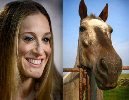 Quelle est la différence entre Sarah Jessica Parker et un cheval ?