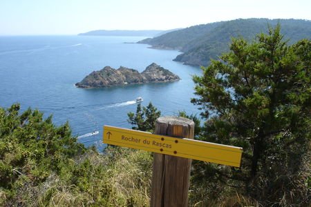 DSC07569