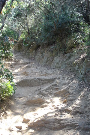 DSC07561