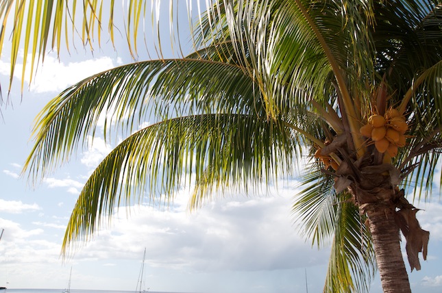martinique_saint_pierre18