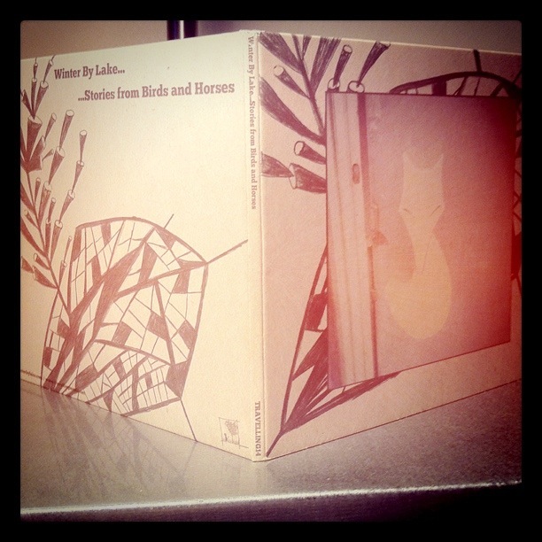 stories from birds and horses_pochette