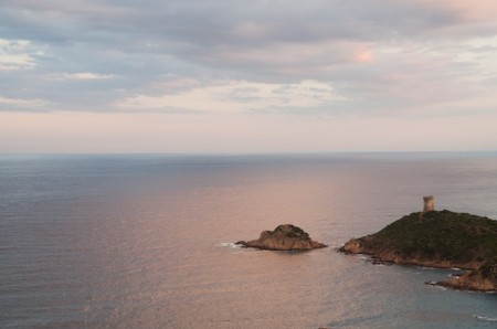 DSC_0291