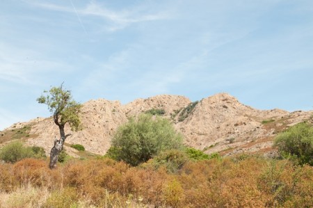 Désert Agriates_3