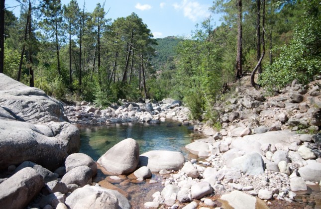 Forêt Bonifatu Figarella_8