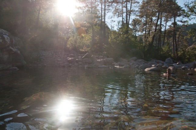 Forêt Bonifatu Figarella_9