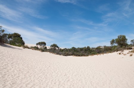 little_sahara_kangaroo_island_australie_1
