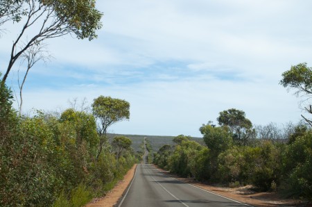 kangaroo_island_australie