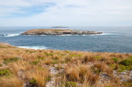 brothers_island_kangaroo_island_australie_1