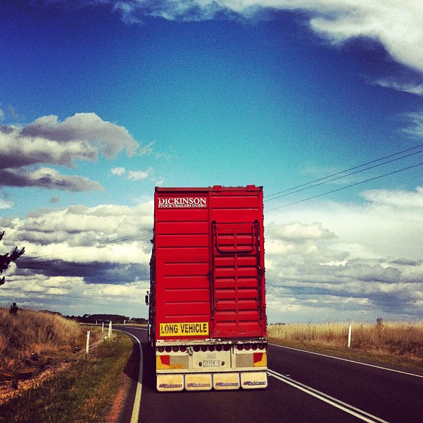 2012_03_15_05_32_147383890461713726_Amaro
