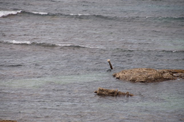 australie-godfrey-wreck-wye-river-2