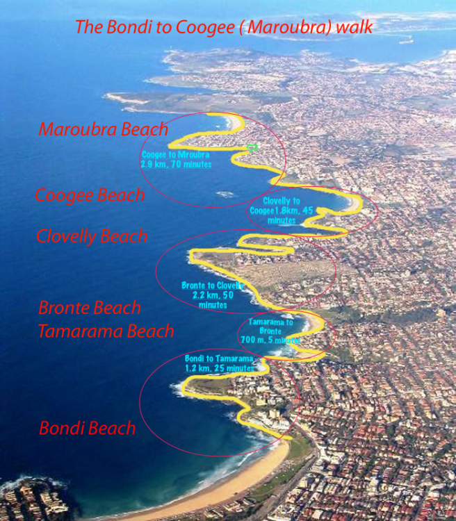 coastal-walk-bondi-to-coogee-map