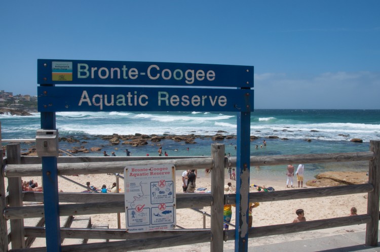 coastal-walk-bronte-beach-7
