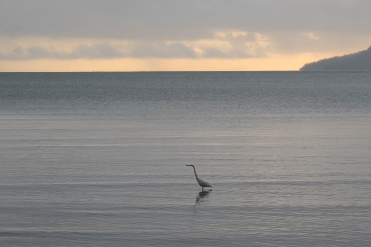 australie-cairns-esplanade-4