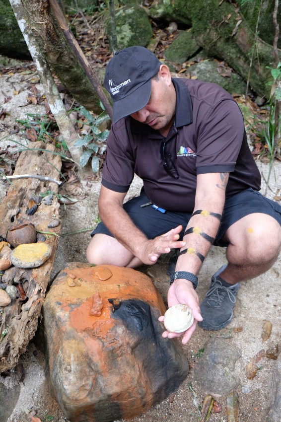 australie-mossman-gorge-14