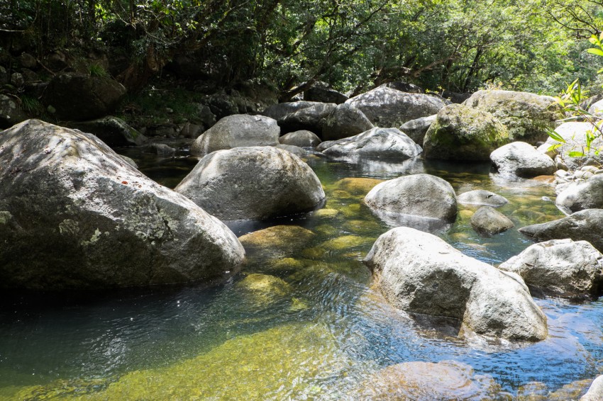 australie-mossman-gorge-16