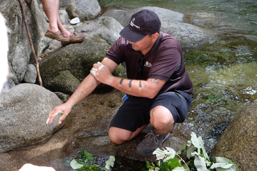 australie-mossman-gorge-18