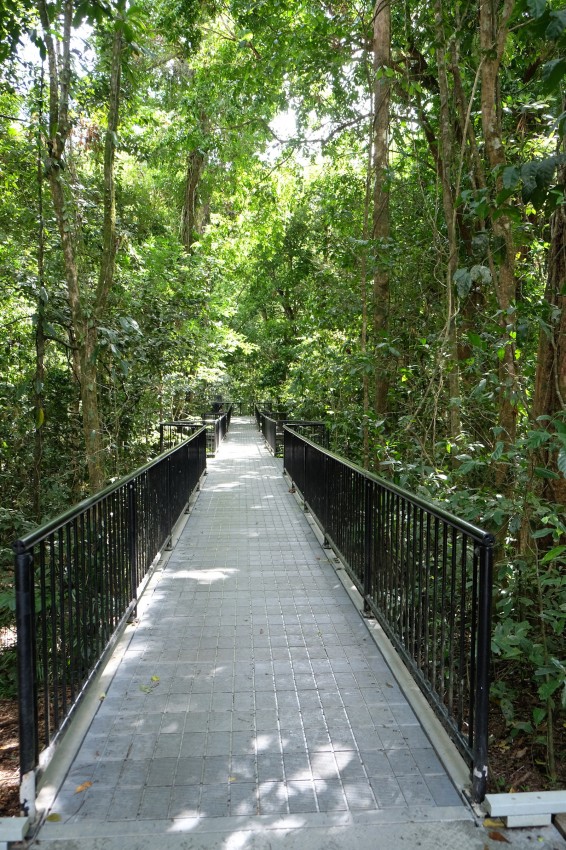 australie-mossman-gorge-22