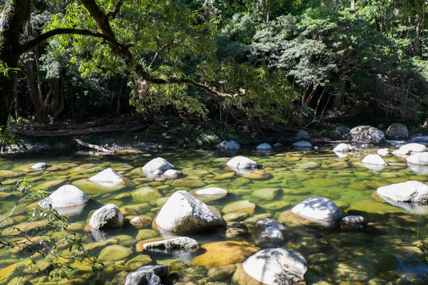 australie-mossman-gorge-38