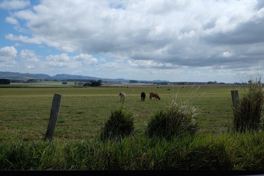 australie-queensland-atherton-tablelands