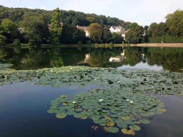 etangs-de-corot-11