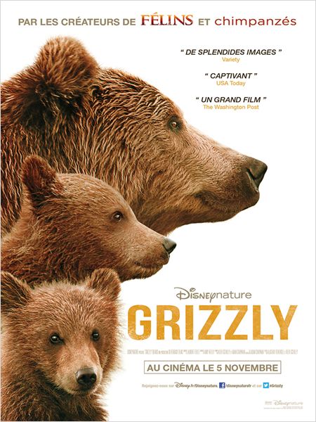 grizzly-disney-affiche