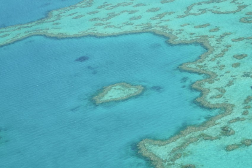 australie-queensland-grande-barriere-corail-heart-reef