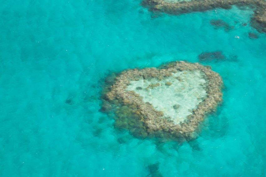 australie-queensland-grande-barriere-corail-heart-reef
