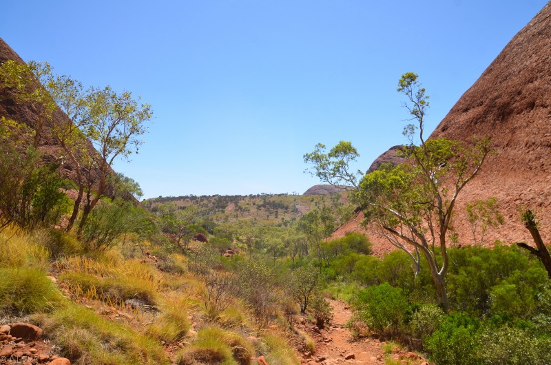 australie-kata-tjuta