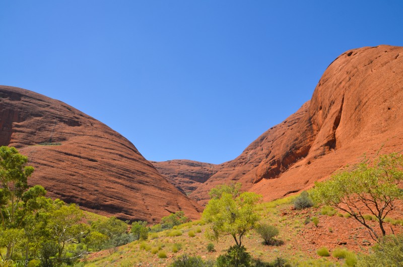 australie-kata-tjuta