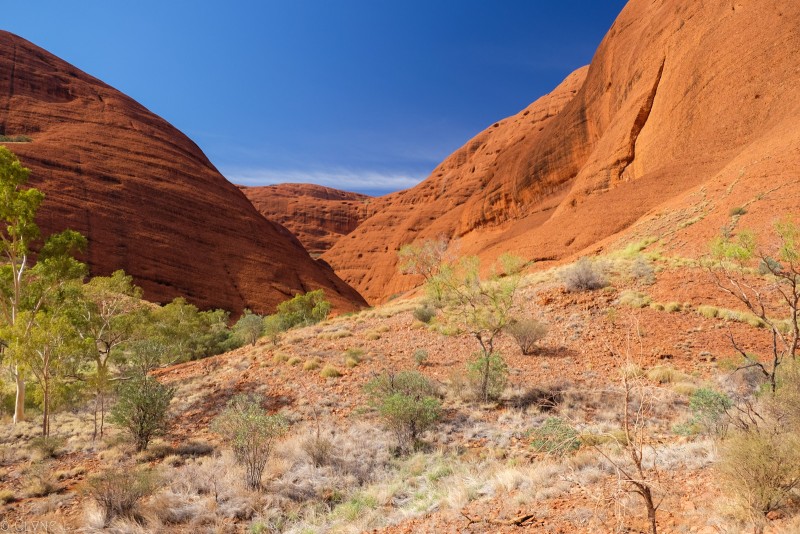 australie-kata-tjuta