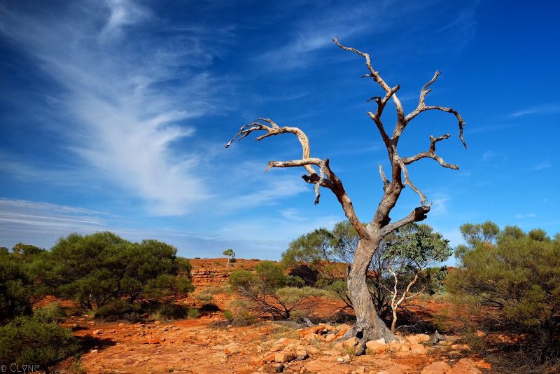 australie-kings-canyon