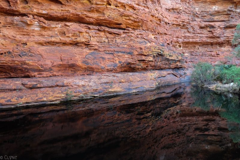 australie-kings-canyon_jardin-eden