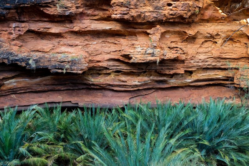 australie-kings-canyon_jardin-eden