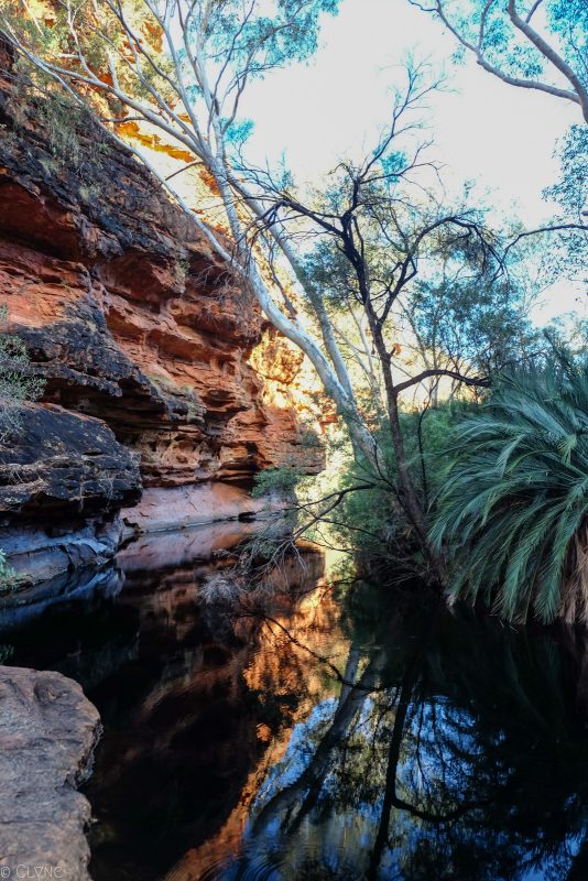 australie-kings-canyon_jardin-eden