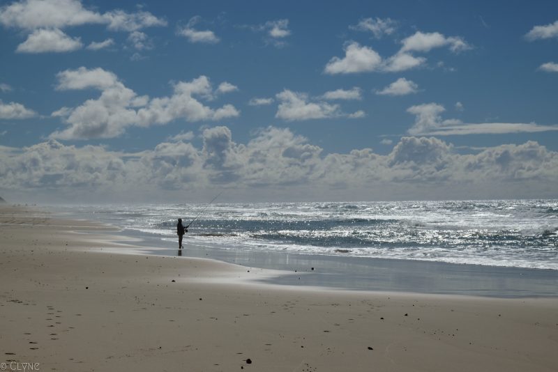 australie-fraser-island-75-miles-beach