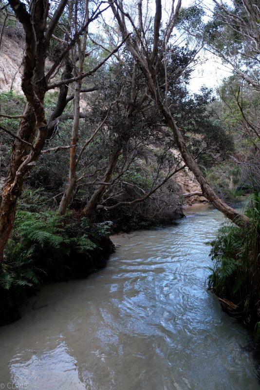 australie-fraser-island-eli-creek