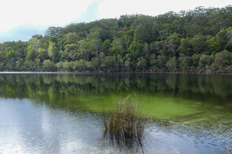 australie-fraser-island-lake-basin