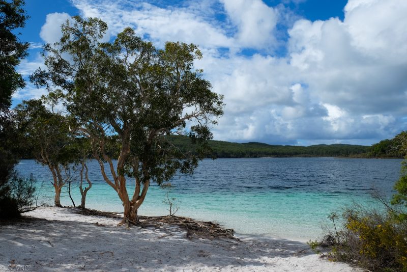australie-fraser-island-lake-mckenzie