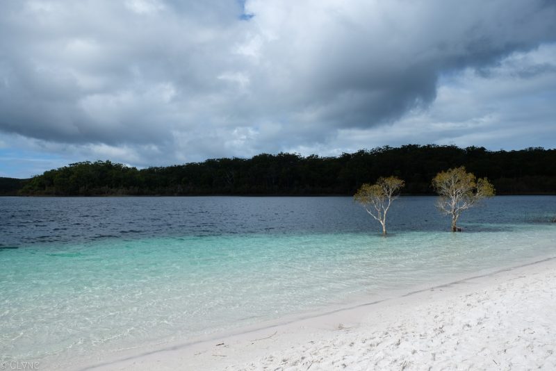 australie-fraser-island-lake-mckenzie