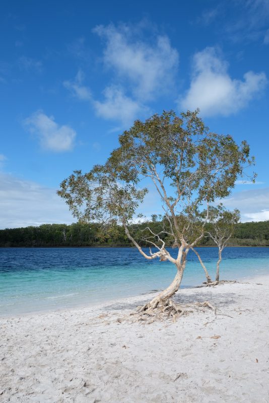 australie-fraser-island-lake-mckenzie