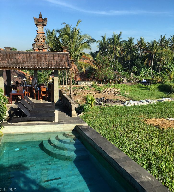 bali-ubud-ala-green-lagoon