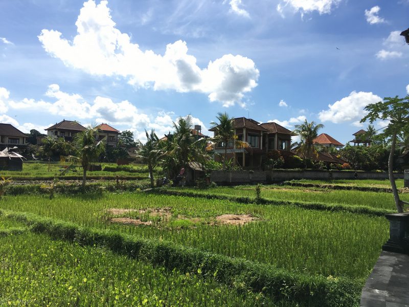 bali-ubud-ala-green-lagoon