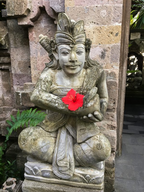 bali-ubud-fleurs