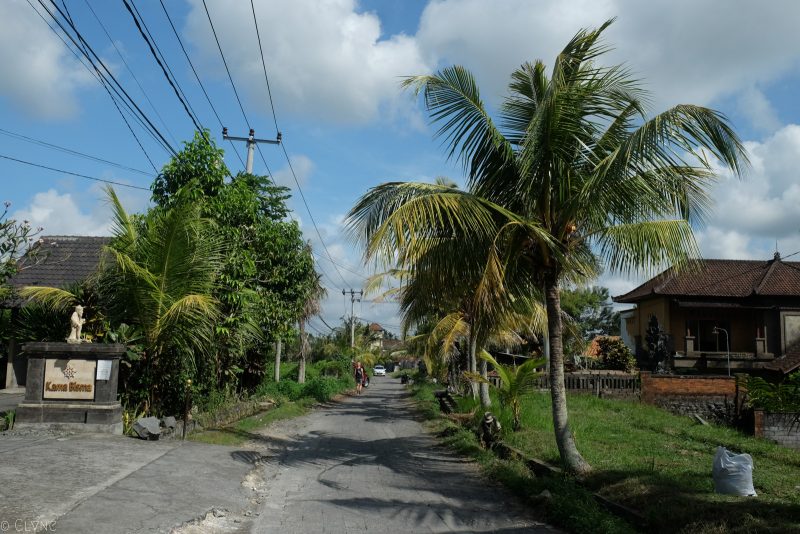 bali-ubud-street