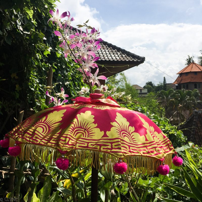 bali-ubud-yellow-flower-cafe