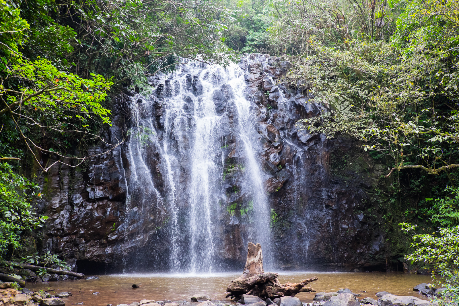 australie-queensland-atherton-tablelands-ellinjaa-falls