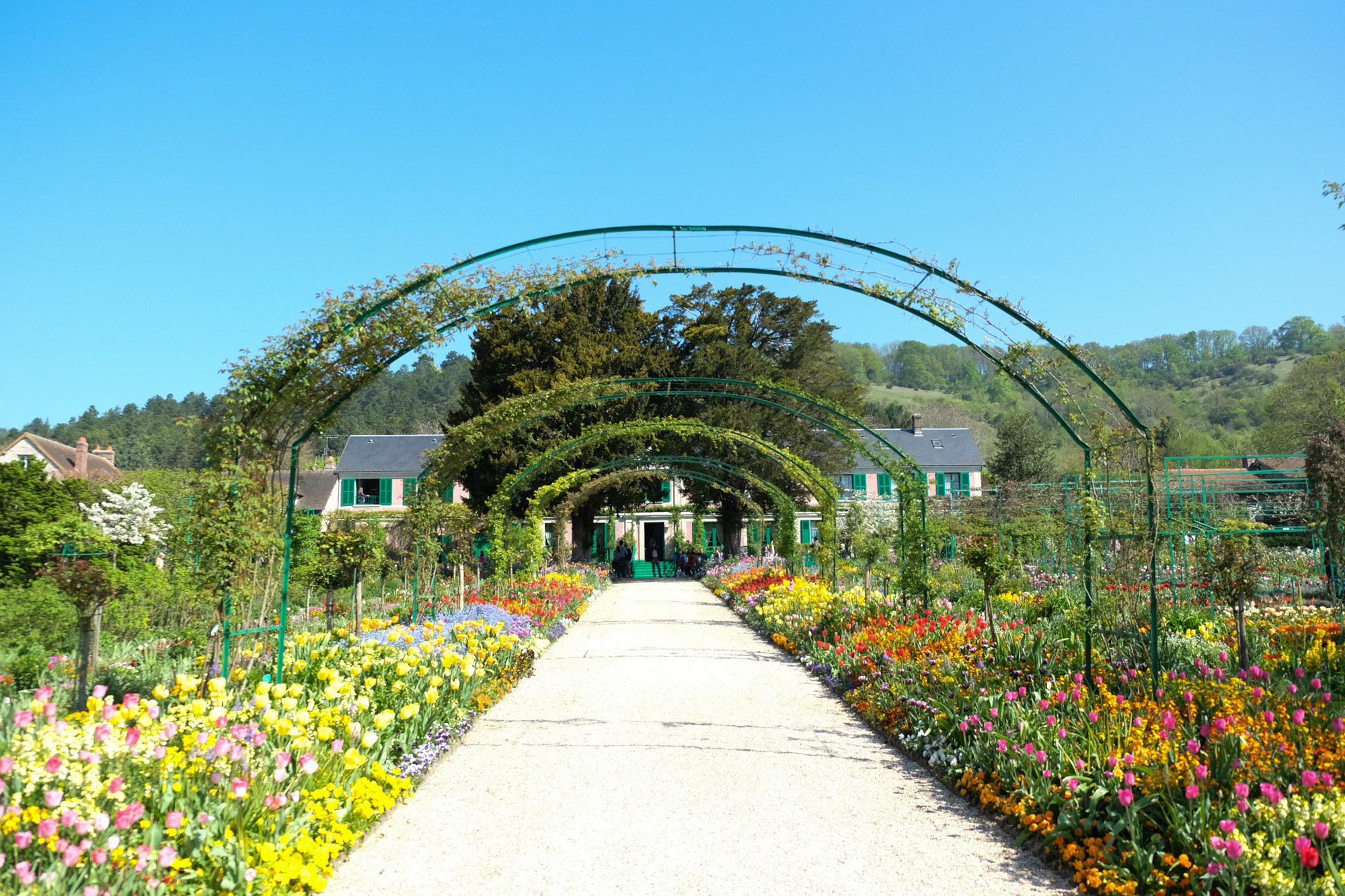 giverny-jardin-monet-fleurs