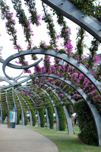 australie-brisbane-south-bank-parklands-arbour