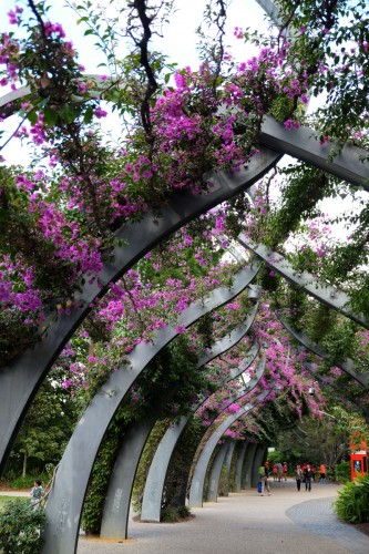 australie-brisbane-south-bank-parklands-arbour