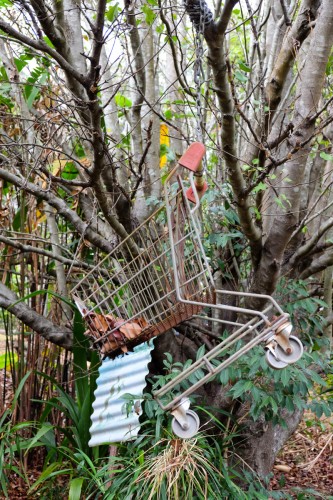 australie-queensland-glass-house-mountains-ecolodge-flestering-how-fresh-is-it